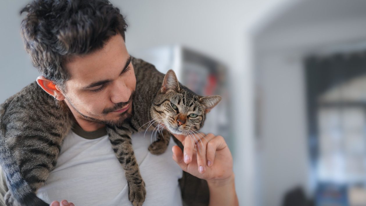 kat
