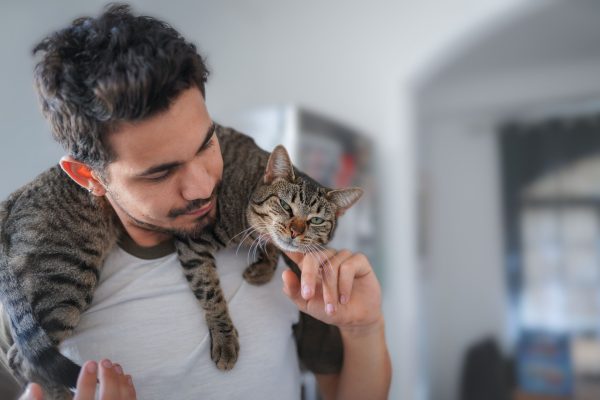 kat