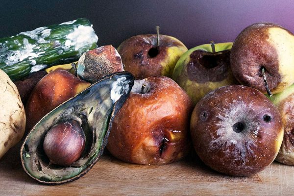 fruit