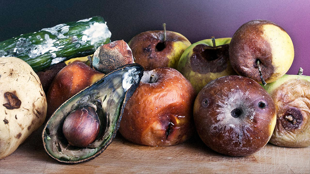 fruit