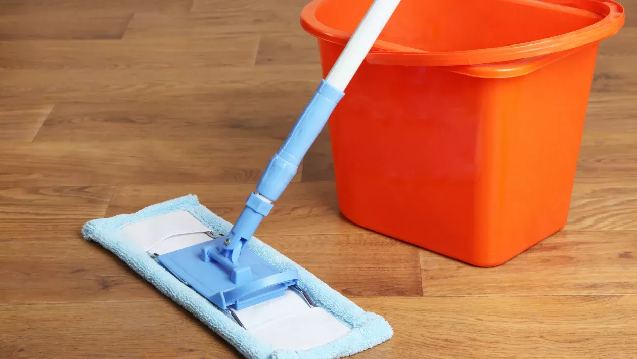 schoonmaak