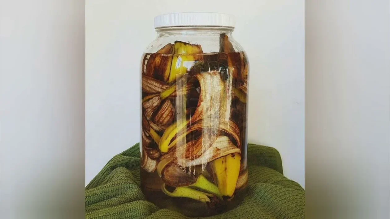 bananenschillen