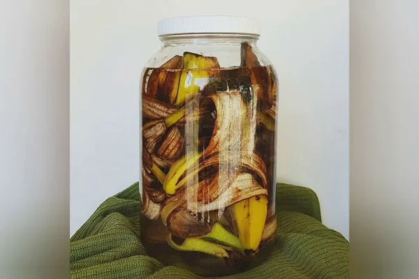 bananenschillen