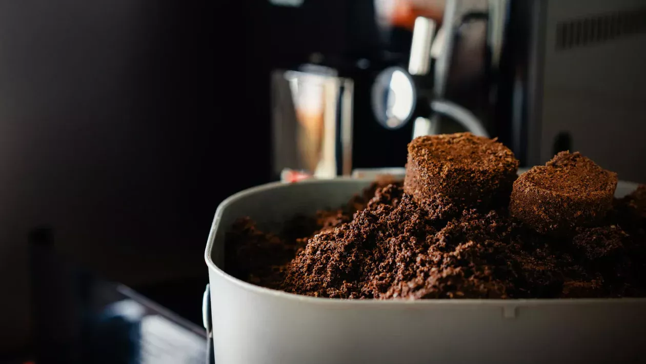 koffiedik