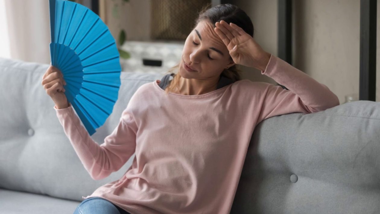 ventilator